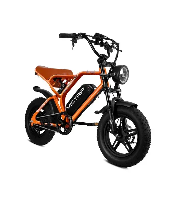 Victrip R6 Pro Bicicleta Eléctrica Fat Tire image 13