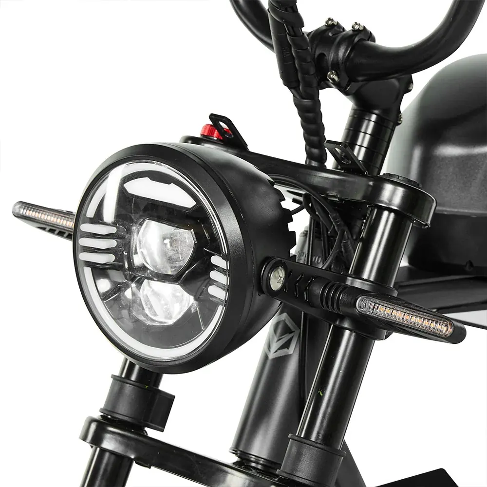 PIXAR Super fat bike eléctrica retro con asiento largo image 11