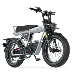 Coswheel CT20S Bicicleta Eléctrica Fat Tire