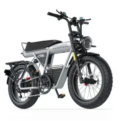 Coswheel CT20S Bicicleta Eléctrica Fat Tire