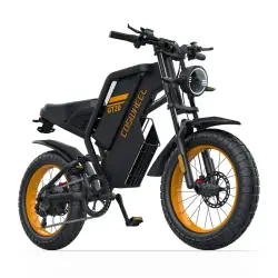 Coswheel GT20 Bicicleta Eléctrica Fat Tire
