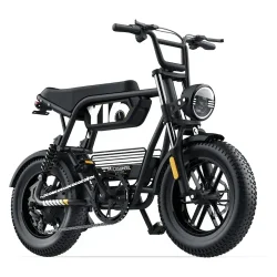 Coswheel Y16 Bicicleta Eléctrica Fat Tire