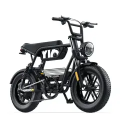 Coswheel Y16 Bicicleta Eléctrica Fat Tire