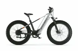 Cyrusher Zenith Bicicleta Eléctrica Fat Tire