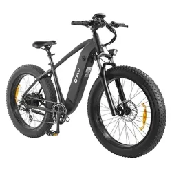 DYU King 750 Bicicleta Eléctrica Fat Tire