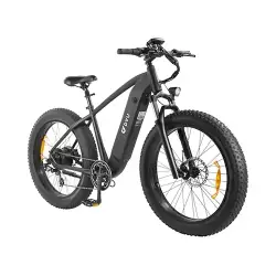 DYU King 750 Bicicleta Eléctrica Fat Tire
