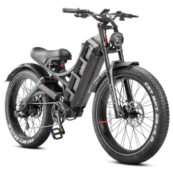 Eahora Romeo Pro Bicicleta Eléctrica Fat Tire