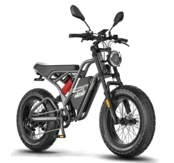 Fafrees F20 ULTRA Upgrade Bicicleta Eléctrica Fat Tire