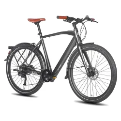 Fafrees F700M Bicicleta Eléctrica Urbana