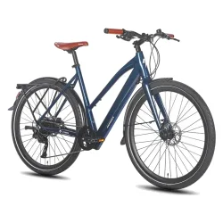 Fafrees F700W Bicicleta Eléctrica Urbana