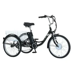 Gogobest GF100 Triciclo Eléctrico de Carga