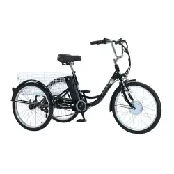 Gogobest GF100 Triciclo Eléctrico de Carga
