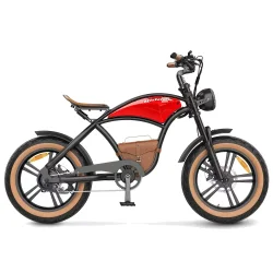 Hidoes B10 Bicicleta Eléctrica Fat Tire