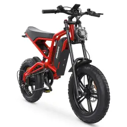 Hidoes B6 Bicicleta Eléctrica Fat Tire