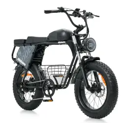 Hidoes B9 Bicicleta Eléctrica Fat Tire de Doble Batería