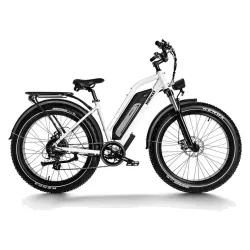 Himiway D3 Bicicleta Eléctrica Fat Tire Todo Terreno