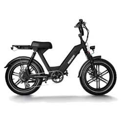 Himiway Escape Pro Bicicleta Eléctrica Fat Tire