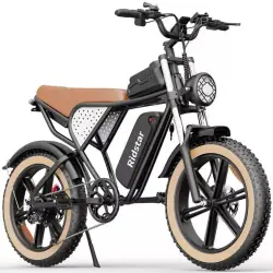 Ridstar Q20 Luxe Bicicleta Eléctrica Fat Tire Retro