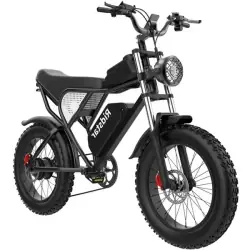 Ridstar Q20 Bicicleta Eléctrica Fat Tire