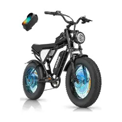 Ridstar Q20 Lite Bicicleta Eléctrica Fat Tire
