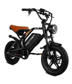 Victrip R6 Pro Bicicleta Eléctrica Fat Tire
